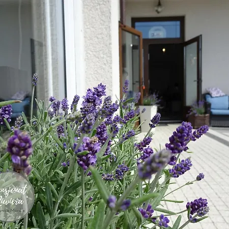 民宿 Riwiera Z Widokiem Na Zalew Wislany